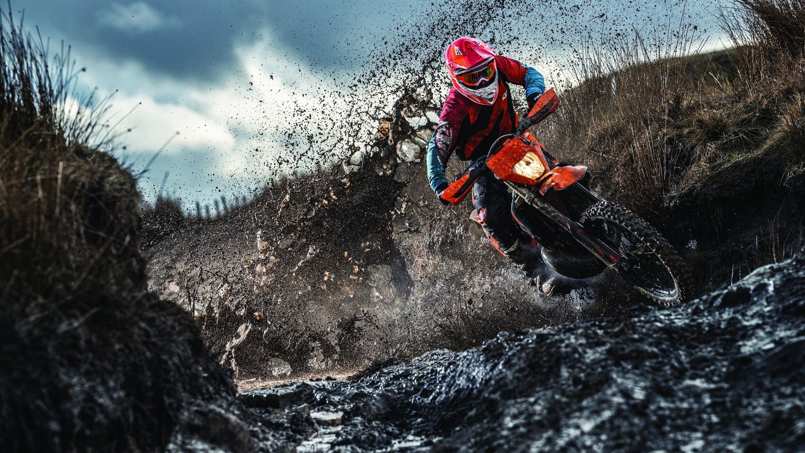 开云官方-瑞士骑手马丁·福克斯荣获2024年最佳障碍赛骑手奖，表彰其卓越表现。