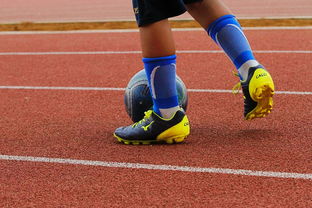 开云平台-足球产业链：从青训到转播的全产业生态，足球产业主要经营内容